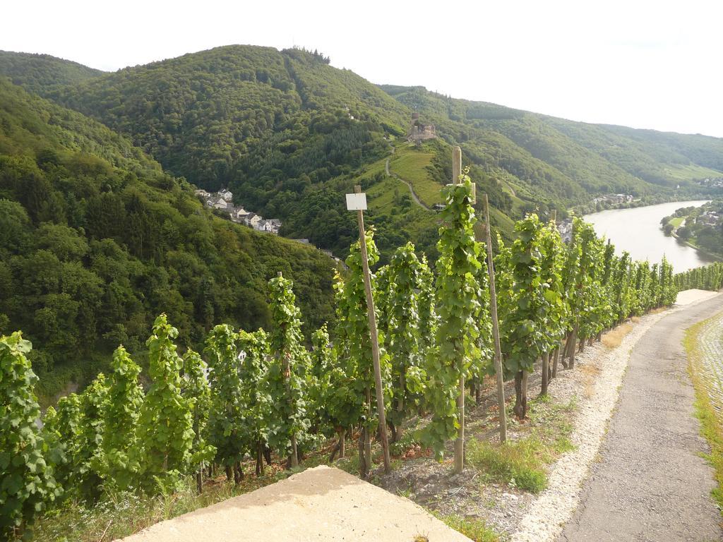 Gästehaus Ehses Bernkastel-Kues Exterior foto